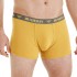Bushman Pánské trenýrky Edward II, yellow